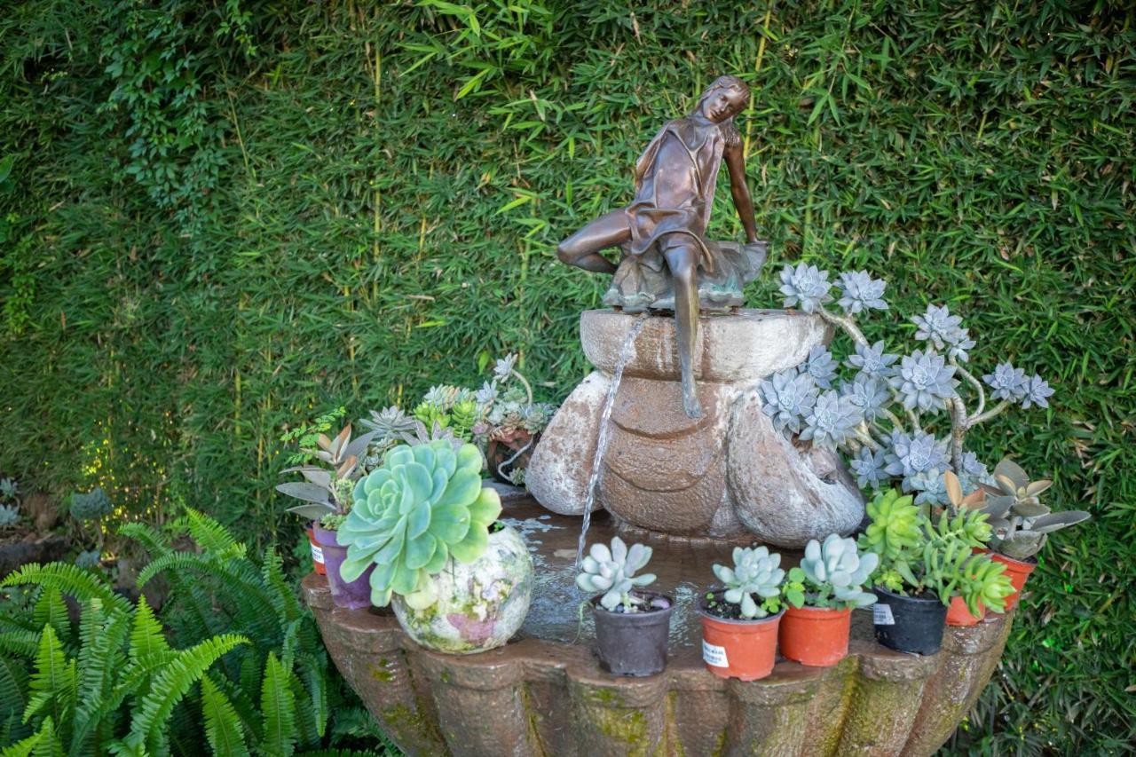 Hotel Boutique Casa Isabella Tepoztlán Dış mekan fotoğraf