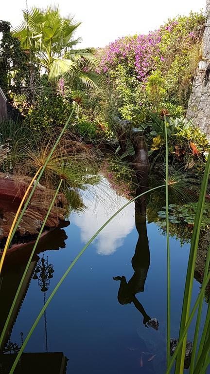 Hotel Boutique Casa Isabella Tepoztlán Dış mekan fotoğraf